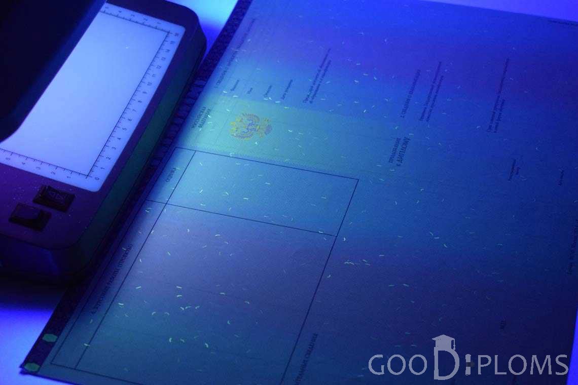 Приложение к Диплому Бакалавра с Отличием в Ультрафиолете период c 2013 по 2025 год - Альметьевск
