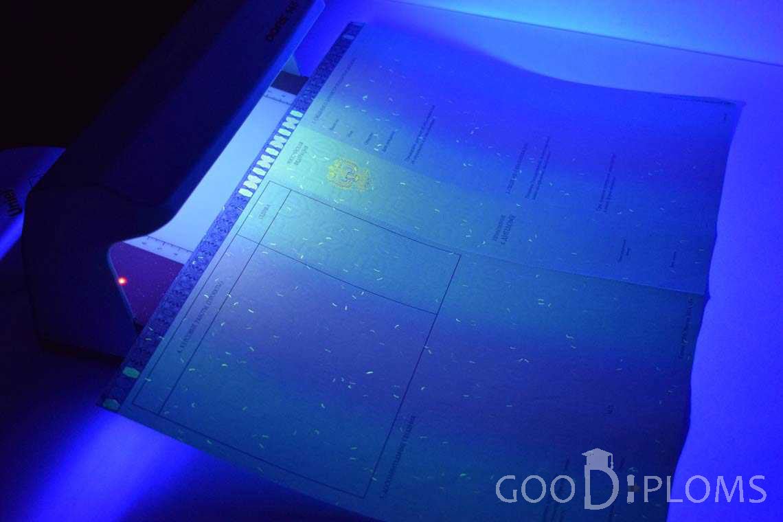 Приложение к Диплому Магистра в Ультрафиолете в период c 2014 по 2025 год - Альметьевск