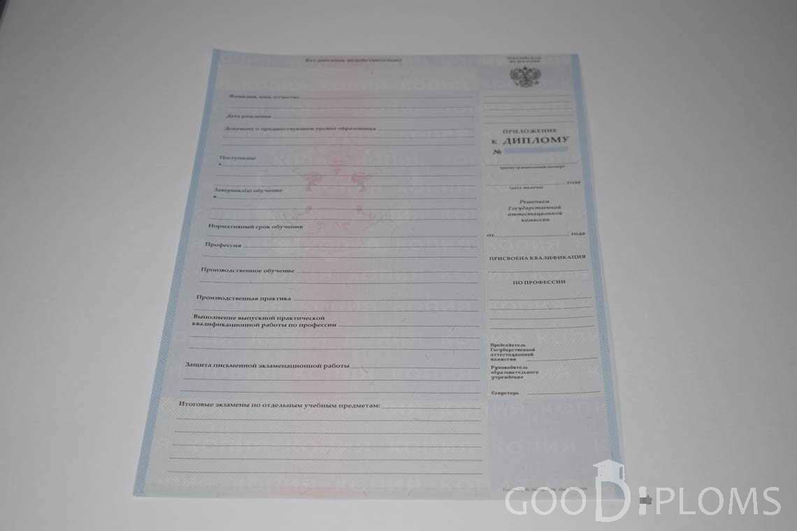 Приложение к Диплому Техникума с Отличием в период c 2008 по 2010 год - Альметьевск