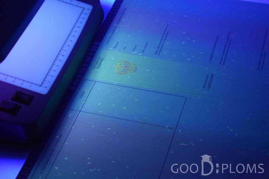 Приложение к Диплому о Высшем Образовании с Отличием в Ультрафиолете - Альметьевск